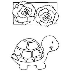Coloring page: Tortoise (Animals) #13402 - Printable coloring pages