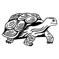 Coloring page: Tortoise (Animals) #13403 - Printable coloring pages