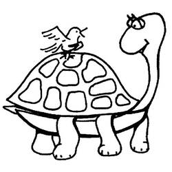 Coloring page: Tortoise (Animals) #13404 - Free Printable Coloring Pages
