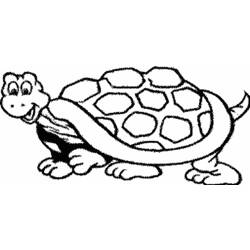 Coloring page: Tortoise (Animals) #13406 - Free Printable Coloring Pages