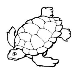 Coloring page: Tortoise (Animals) #13412 - Free Printable Coloring Pages