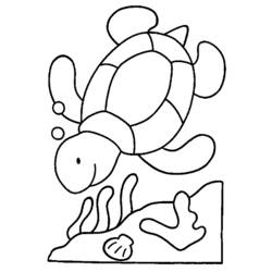 Coloring page: Tortoise (Animals) #13415 - Printable coloring pages