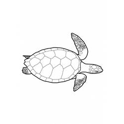 Coloring page: Tortoise (Animals) #13421 - Free Printable Coloring Pages