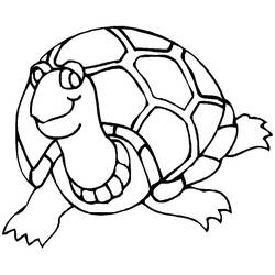 Coloring page: Tortoise (Animals) #13423 - Free Printable Coloring Pages