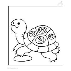 Coloring page: Tortoise (Animals) #13432 - Free Printable Coloring Pages