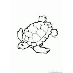 Coloring page: Tortoise (Animals) #13433 - Free Printable Coloring Pages