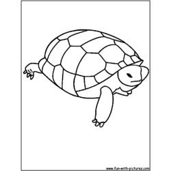 Coloring page: Tortoise (Animals) #13436 - Free Printable Coloring Pages