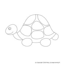 Coloring page: Tortoise (Animals) #13437 - Free Printable Coloring Pages