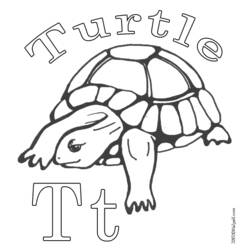 Coloring page: Tortoise (Animals) #13462 - Free Printable Coloring Pages