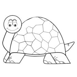 Coloring page: Tortoise (Animals) #13464 - Free Printable Coloring Pages