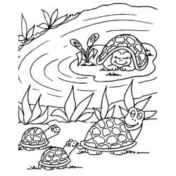 Coloring page: Tortoise (Animals) #13468 - Free Printable Coloring Pages