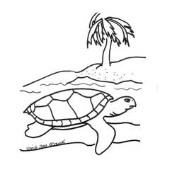 Coloring page: Tortoise (Animals) #13469 - Printable coloring pages