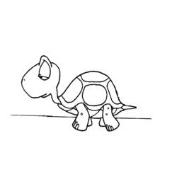 Coloring page: Tortoise (Animals) #13490 - Free Printable Coloring Pages