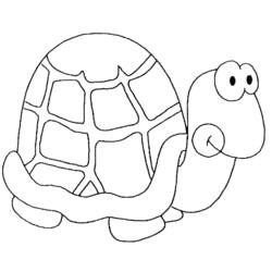 Coloring page: Tortoise (Animals) #13504 - Printable coloring pages
