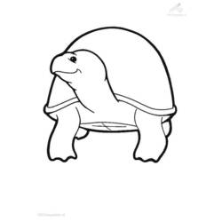 Coloring page: Tortoise (Animals) #13526 - Free Printable Coloring Pages