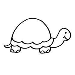 Coloring pages: Tortoise - Printable Coloring Pages