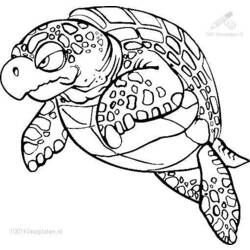 Coloring page: Tortoise (Animals) #13536 - Free Printable Coloring Pages