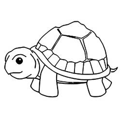 Tortoise (Animals) coloring page #180089 to print and color