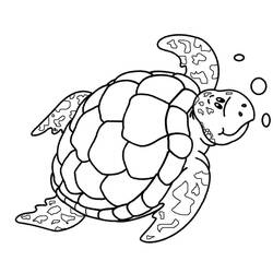 Tortoise (Animals) coloring page #180090 to print and color