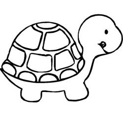 Tortoise (Animals) coloring page #180093 to print and color