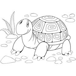 Tortoise (Animals) coloring page #180096 to print and color