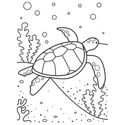Tortoise (Animals) coloring page #180099 to print and color