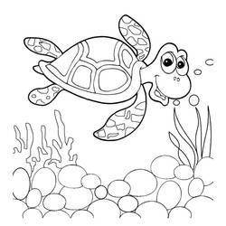 Tortoise (Animals) coloring page #180100 to print and color