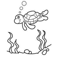 Tortoise (Animals) coloring page #180104 to print and color