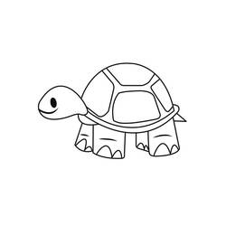 Tortoise (Animals) coloring page #180115 to print and color