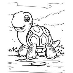 Tortoise (Animals) coloring page #180116 to print and color
