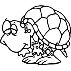 Tortoise (Animals) coloring page #180120 to print and color