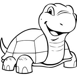 Tortoise (Animals) coloring page #217140 to print and color