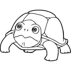 Tortoise (Animals) coloring page #217148 to print and color