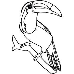 Toucan (Animals) coloring page #197548 to print and color