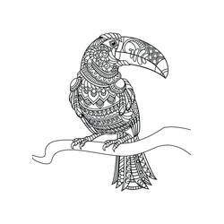 Toucan (Animals) coloring page #197552 to print and color