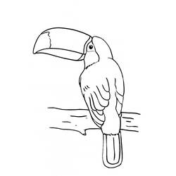Toucan (Animals) coloring page #197553 to print and color