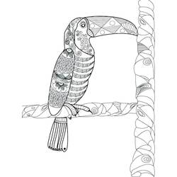 Toucan (Animals) coloring page #197555 to print and color