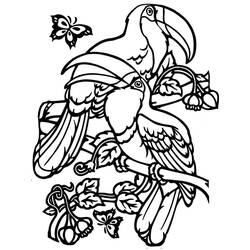 Toucan (Animals) coloring page #197559 to print and color