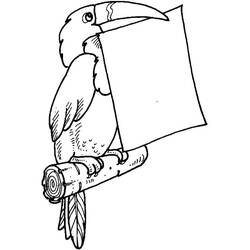 Toucan (Animals) coloring page #197563 to print and color