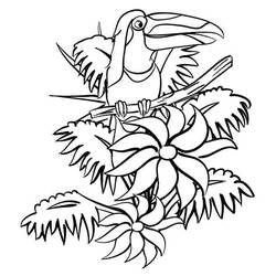 Toucan (Animals) coloring page #197564 to print and color