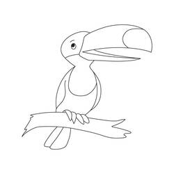 Toucan (Animals) coloring page #197569 to print and color