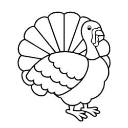 Coloring page: Turkey (Animals) #5289 - Printable coloring pages
