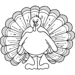 Coloring page: Turkey (Animals) #5292 - Printable coloring pages