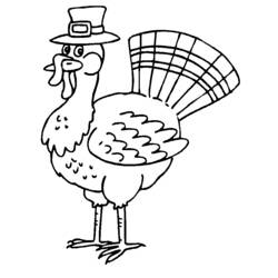 Coloring page: Turkey (Animals) #5302 - Free Printable Coloring Pages