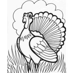 Coloring page: Turkey (Animals) #5322 - Free Printable Coloring Pages