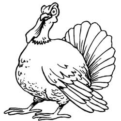 Coloring page: Turkey (Animals) #5324 - Free Printable Coloring Pages