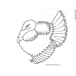 Coloring page: Turkey (Animals) #5353 - Free Printable Coloring Pages