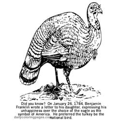 Coloring page: Turkey (Animals) #5356 - Free Printable Coloring Pages