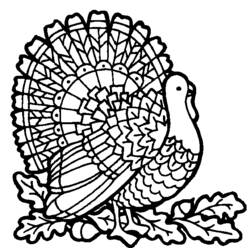 Coloring page: Turkey (Animals) #5366 - Free Printable Coloring Pages