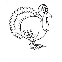 Coloring page: Turkey (Animals) #5367 - Free Printable Coloring Pages